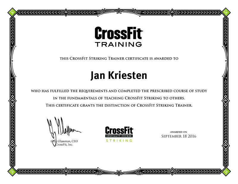 CrossFit Striking Trainer